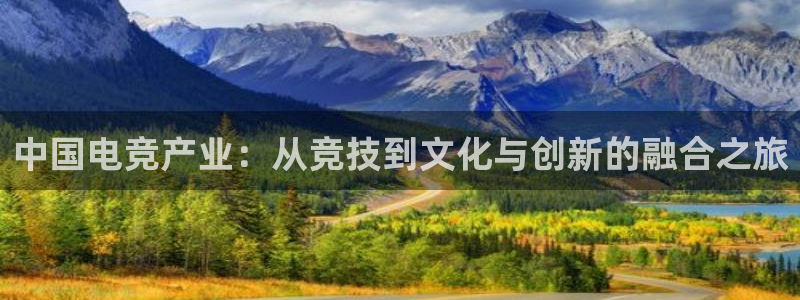 必赢电竞：中国电竞产业：从竞技到文化与创新的融合之旅