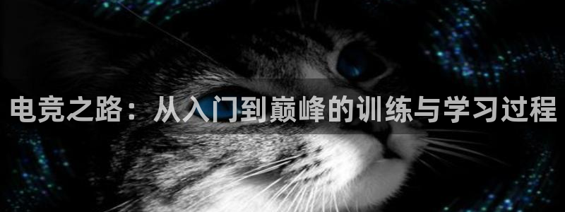 必赢电竞：电竞之路：从入门到巅峰的训练与学习过程
