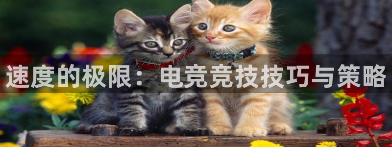 必赢电竞最新比赛：速度的极限：电竞竞技技巧与策略