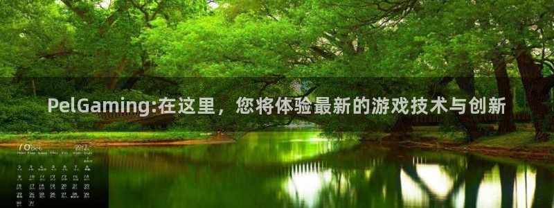 必赢电竞：PelGaming:在这里，您将体验最新的游戏技术与创新