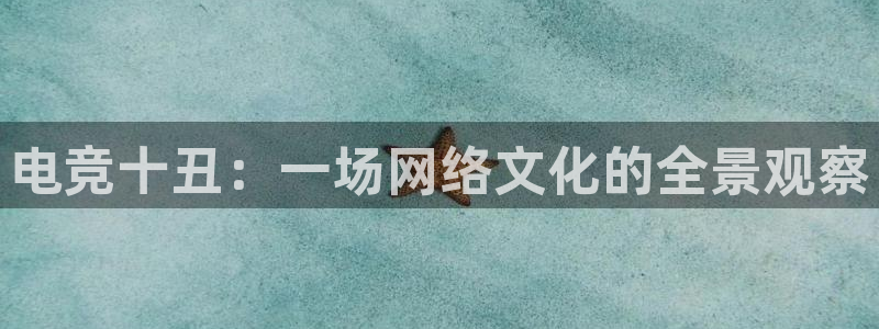 必赢电竞最新比赛：电竞十丑：一场网络文化的全景观察