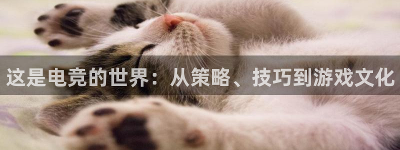 必赢电竞：这是电竞的世界：从策略、技巧到游戏文化