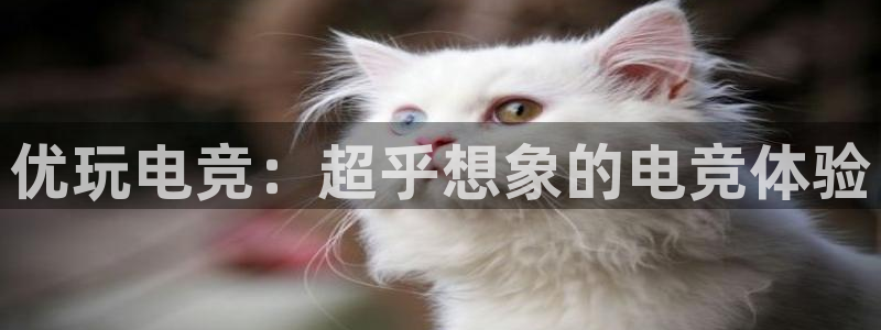 必赢电竞：优玩电竞：超乎想象的电竞体验