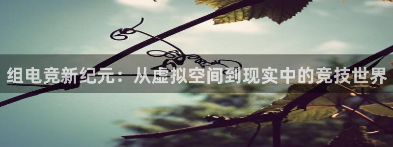 必赢电竞：组电竞新纪元：从虚拟空间到现实中的竞技世界