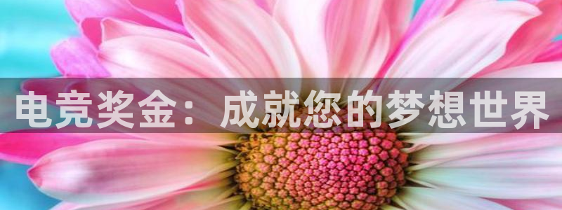 必赢电竞：电竞奖金：成就您的梦想世界
