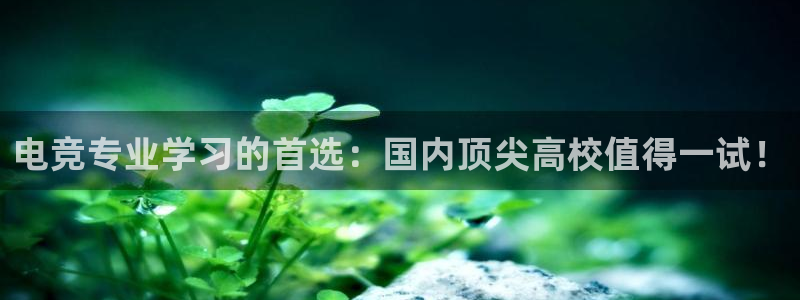 必赢电竞最新比赛：电竞专业学习的首选：国内顶尖高校值得一试！
