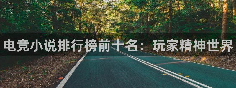 必赢电竞：电竞小说排行榜前十名：玩家精神世界
