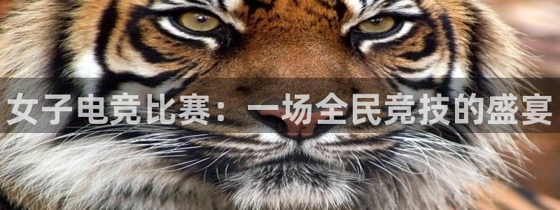 必赢电竞：女子电竞比赛：一场全民竞技的盛宴