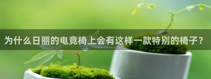 必赢电竞最新比赛：为什么日丽的电竞椅上会有这样一款特别的椅子？