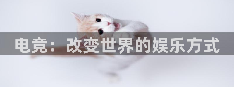 必赢电竞：电竞：改变世界的娱乐方式