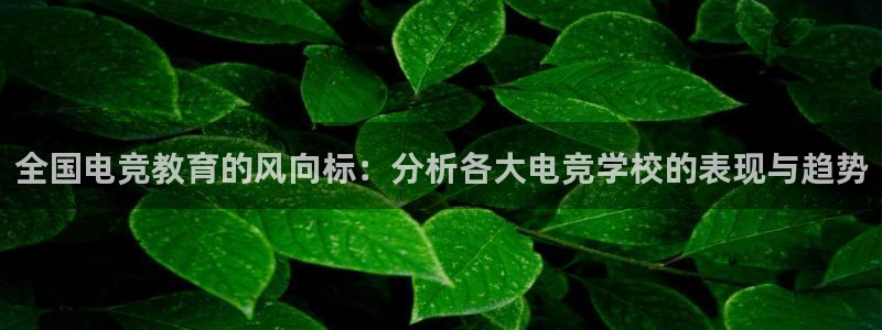 必赢电竞最新比赛：全国电竞教育的风向标：分析各大电竞学校的表现与趋势